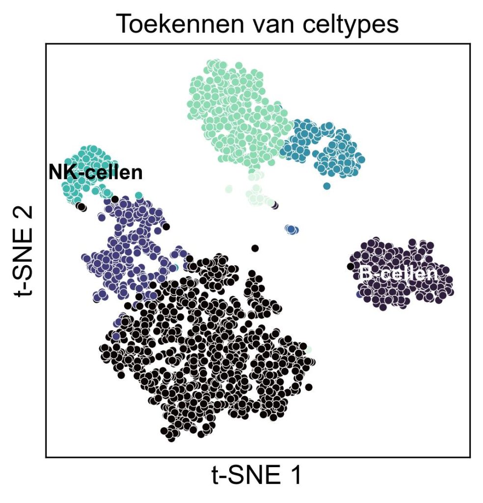 Celtypes toekennen aan de clusters die volgden na de clustering