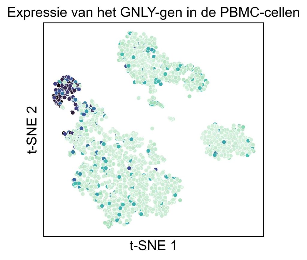 Als de tSNE-plot gekleurd wordt op basis van het GNLY-gen, licht een cluster duidelijk op